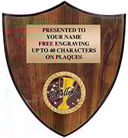 Shield Insert Plaque