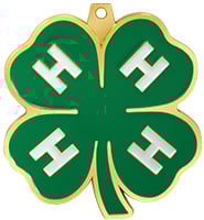 2 1/2" 4-H Clover Medal