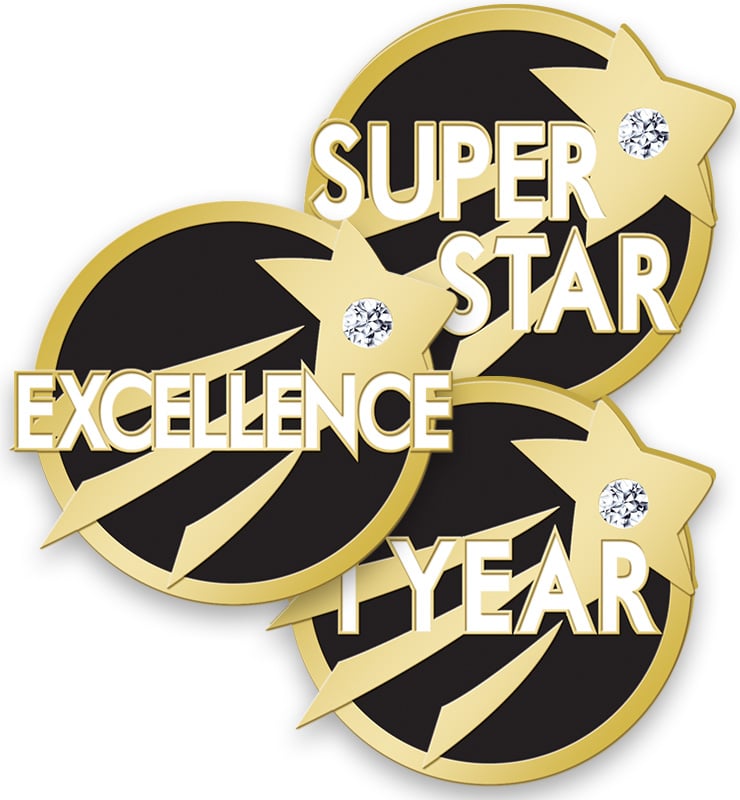 Soaring Star With Gem Achievement Pins