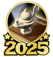 1 1/4" 2025 Insert Pin