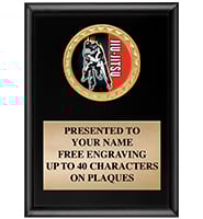 Black Shiny Vertical Insert Plaques