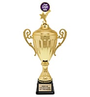 Accolade Gold Metal Cup Insert Holder Trophies