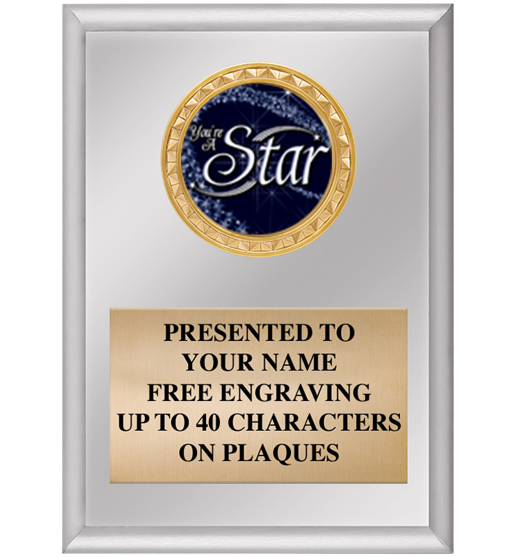 Silver Vertical Insert Plaques