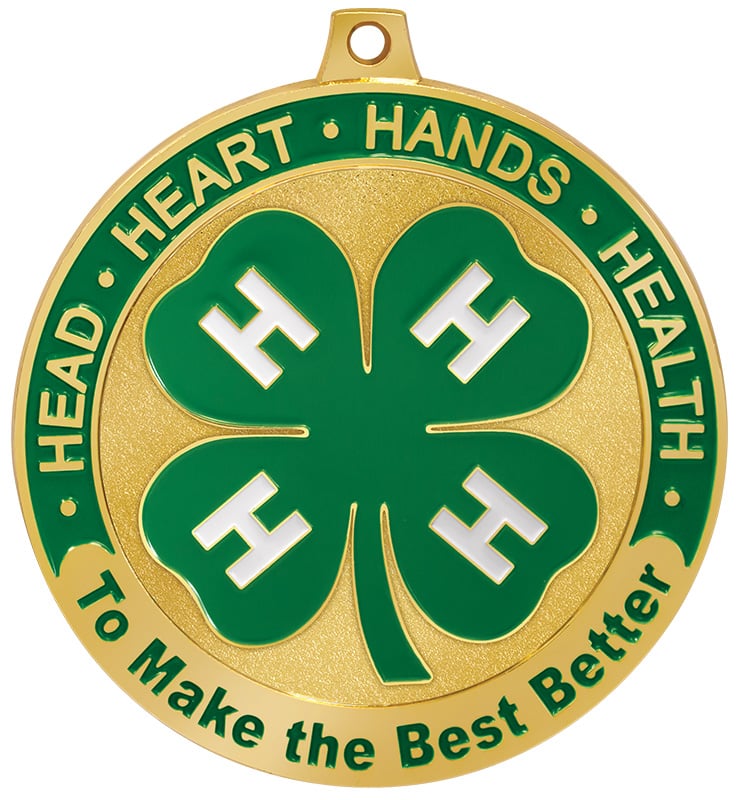 2 1/2" 4-H Achievement Medal