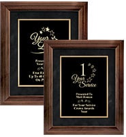 Black Bronze Paradigm Frame Plaque