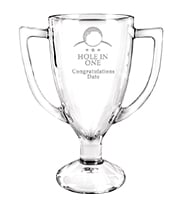 Hole In One Winner Glass Cup Award