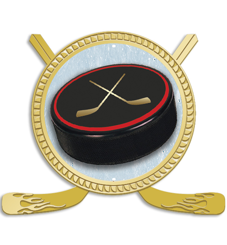 1.75" Hockey Insert Pin