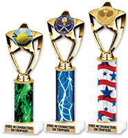 Gold Star Insert Column Trophy