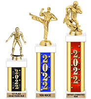 17-18" trophy Choice of Sport/Activity/Column Color Free Engraving 
