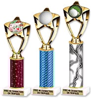 Gold Star Insert Column Trophy