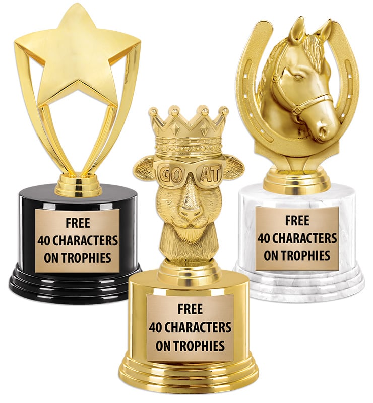 7" & 7 1/4" Deluxe Trophy On Base