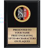 Black Shiny Vertical Insert Plaques