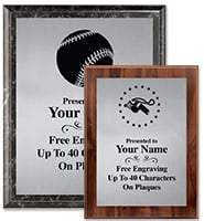 Silver Metallix Plaques
