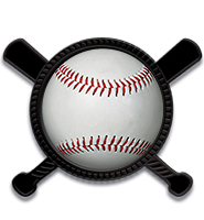 Black Crossed Bats Insert Pin