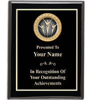 Executive Black Shiny Insert Plaques