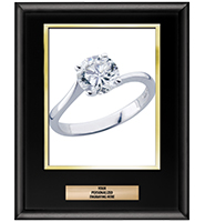 Shiny Black Vertical Slide-In Photo Frame Plaque