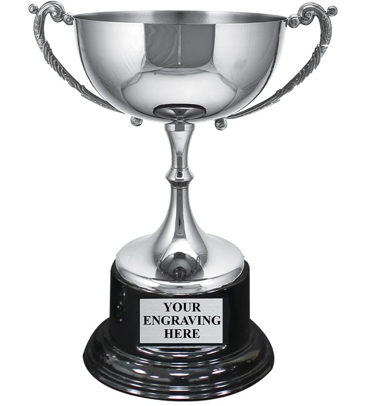 Silver Metal Champion Cup