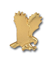 Eagle Pin