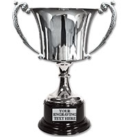 Silver Metal Distinction Cup