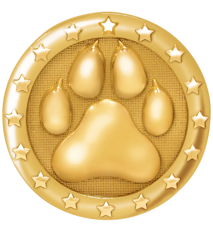2" Paw Blaze Medal