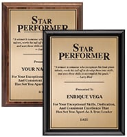 Star Performer Motivational Plaque