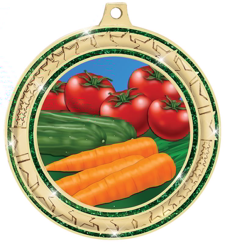 2 3/4" Green Star Trail Glitter Insert Medal