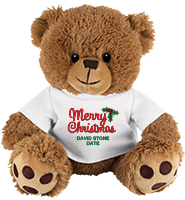 Merry Christmas Personalized Bear