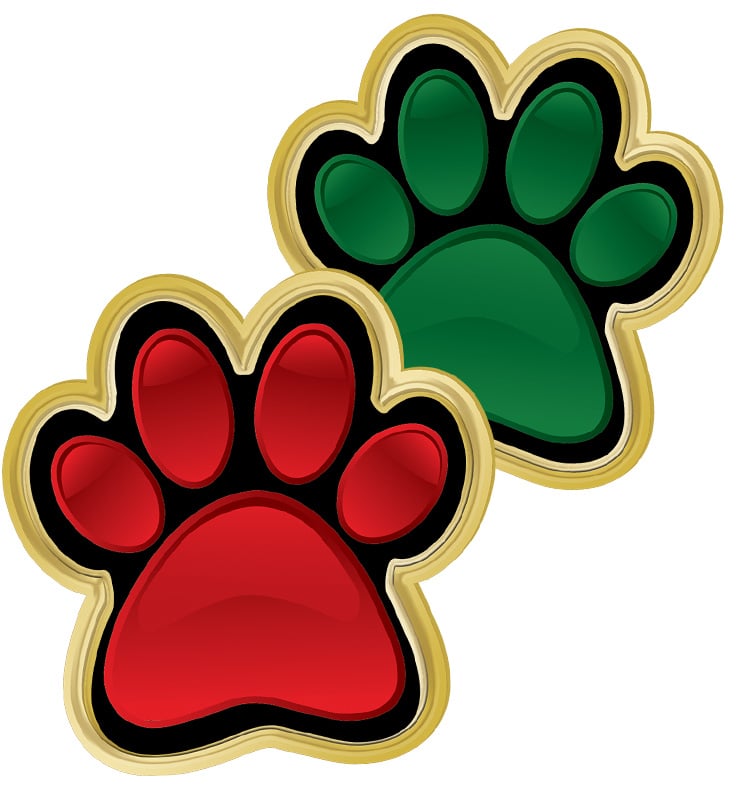 Paw Print Pins
