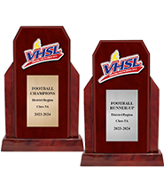 13" Mini Trophy Replica