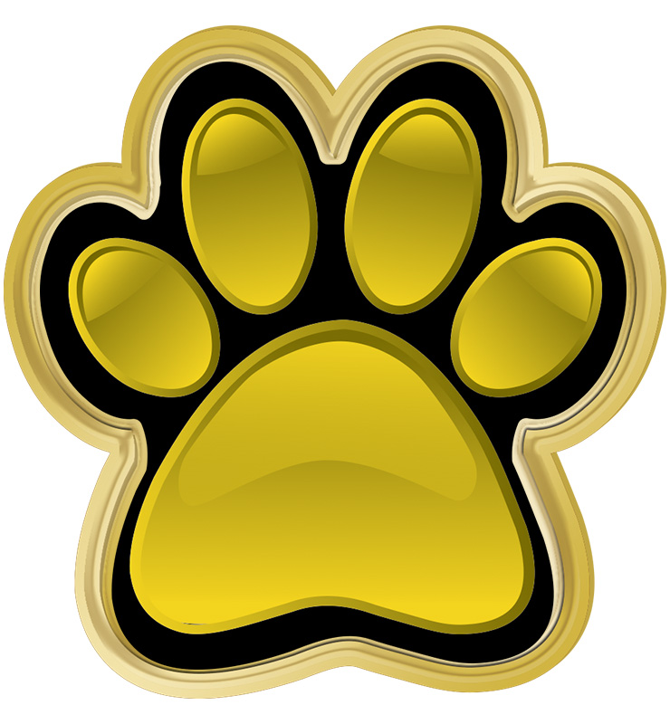 Yellow Paw Print Insert Pin