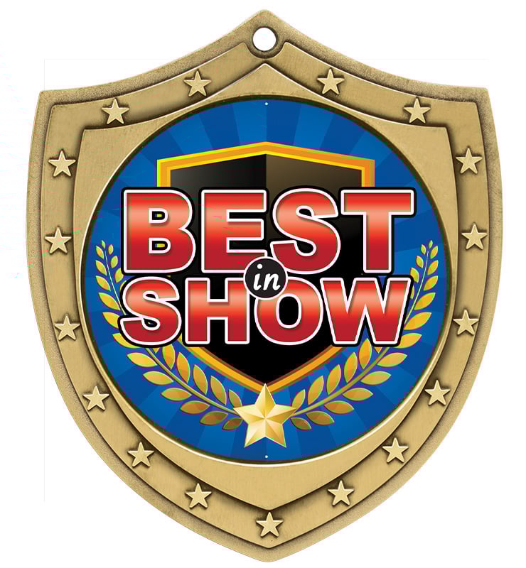 3" Classico Shield Round Insert Medals