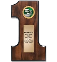 Number One Wood Plaque With Insert