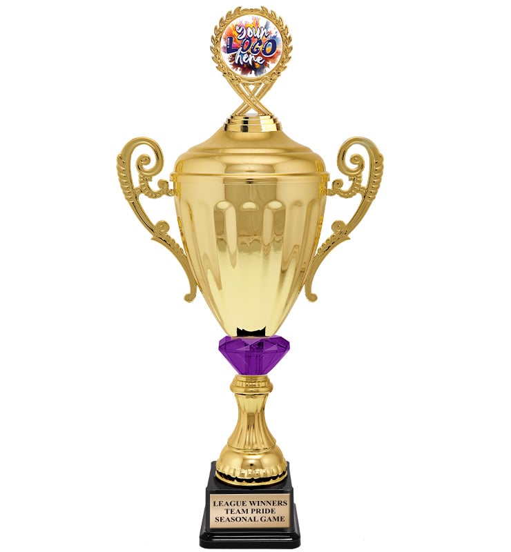 Accolade Gold Metal Crystalline Insert Holder Cup Trophies