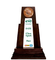 WIAA 3rd-8th Place Miniature Trophy