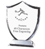 Honor Shield Crystal Award