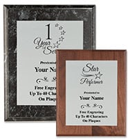 Silver Metallix Plaques