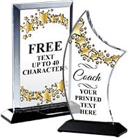 Starry Skyline Coach Acrylics