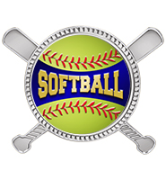 Silver Crossed Bats Insert Pin