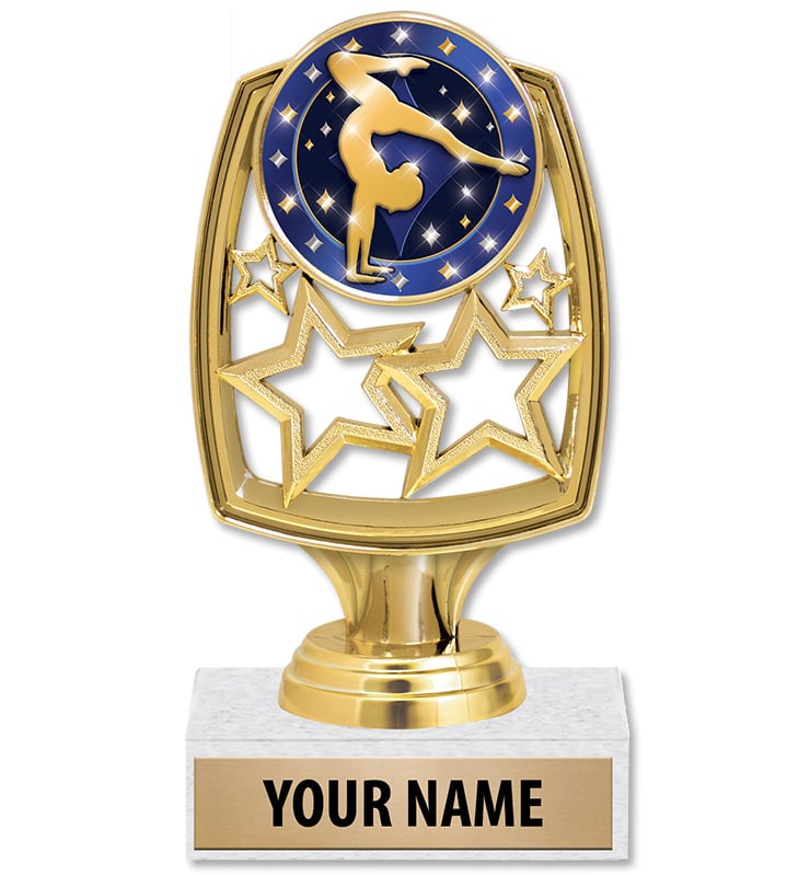 6" Star Whirl Insert Trophy