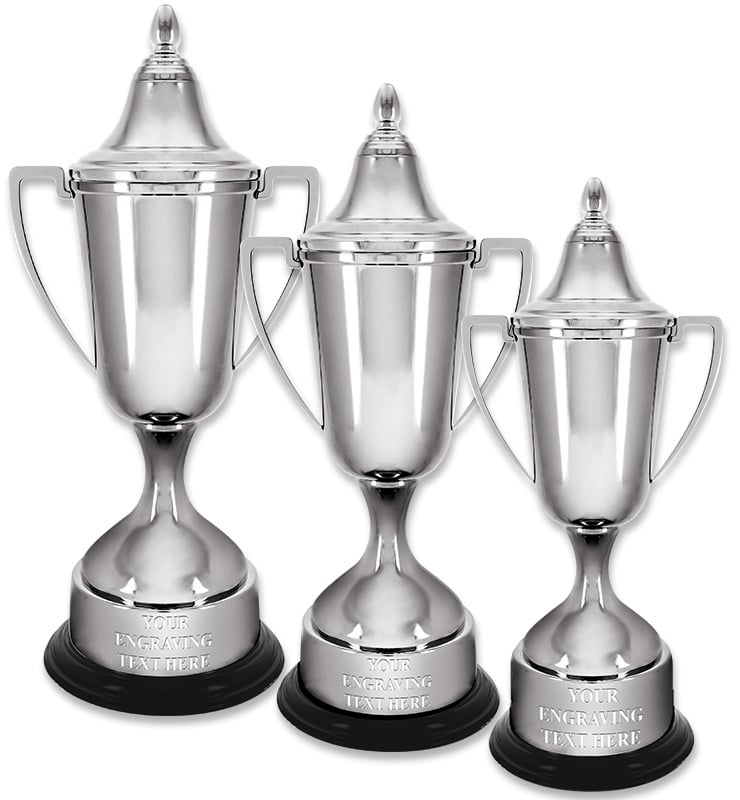 Regal Reflection Metal Cup Trophies With Lid