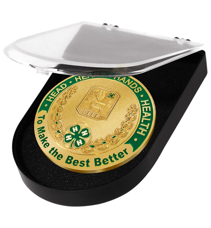 4-H Presentation Case