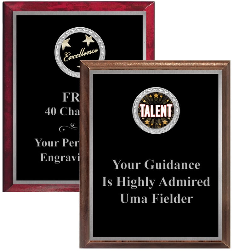 Full Plate Silver Border Insert Plaque