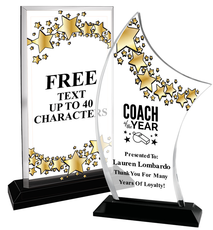 Starry Skyline Coach Acrylics