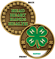 4-H State Insert Coin