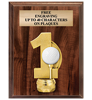 Hole In One Vertical Wood Plaque