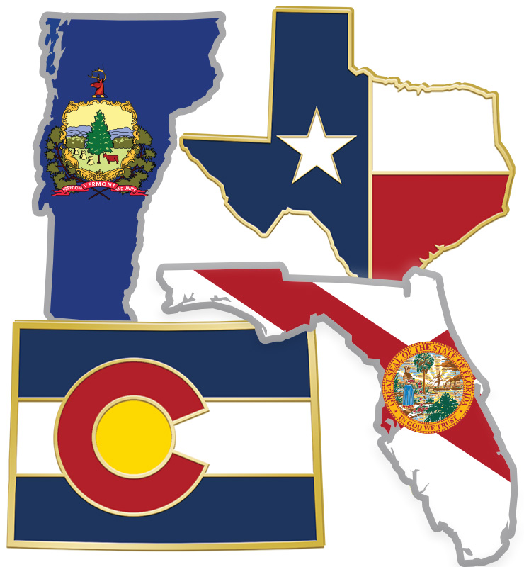 State Flag Pins