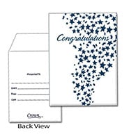Pins Presentation Envelope