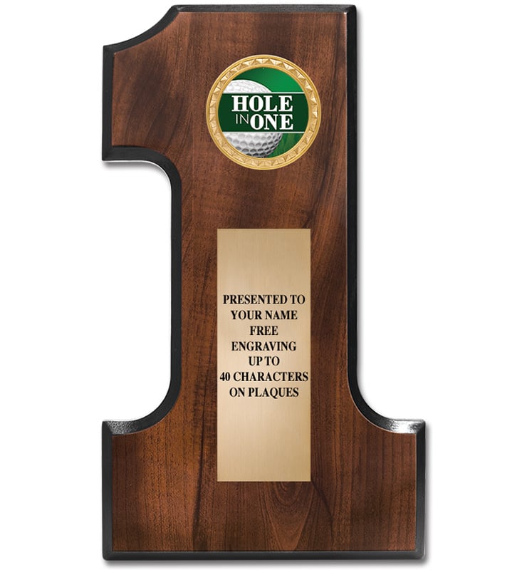 Number One Wood Plaque With Insert