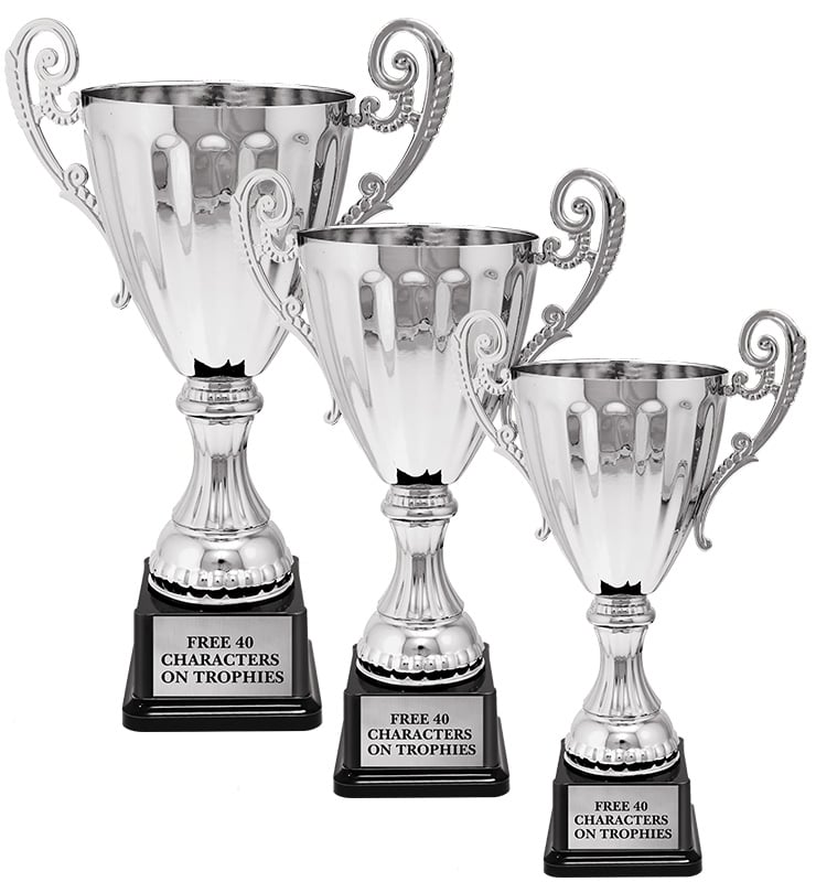 Accolade Silver Metal Cup Trophies