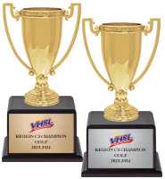 10" Cup Trophy On Wood Base